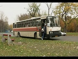 Crazy couple copulating in a bus